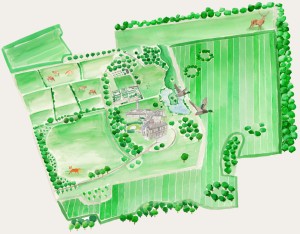 Painted map of Corbalton Hall Estate